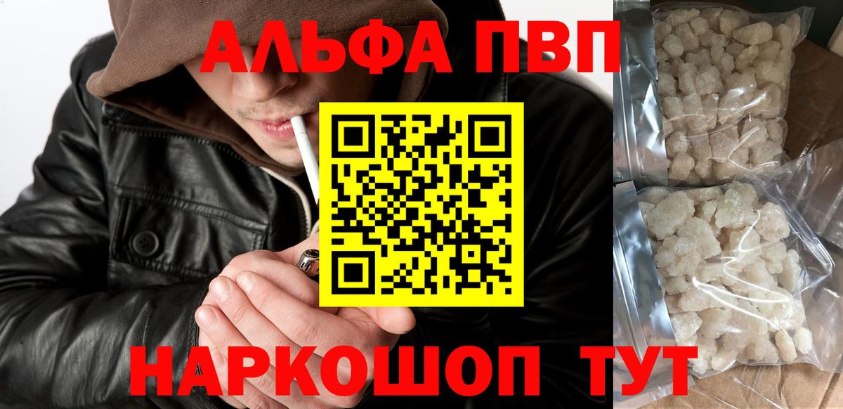 Alfa_PVP СК Урус-Мартан