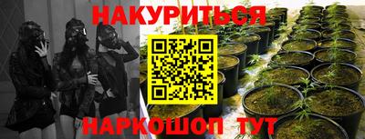 мяу мяу мука Бузулук